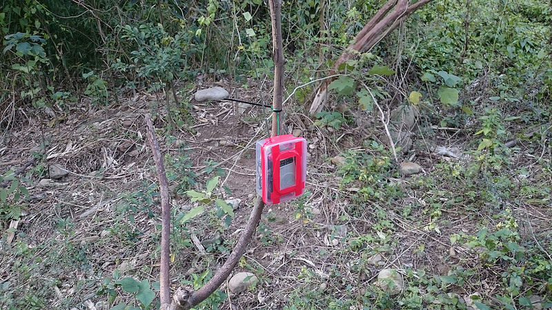 林務局林竹林管處協助雞農設置的聲音播放器，可以用來防治石虎。 資料照片 新竹林管處/提供