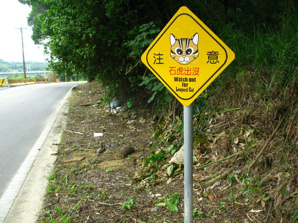 苗栗縣在石虎經常出沒的地點設置告示牌提醒用路人。 苗栗縣政府農業處/提供