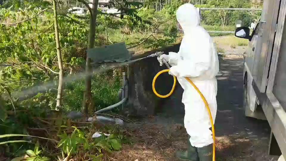 嘉義家畜疾病防治所人員已在雞隻屍體發現地完成消毒工作。 嘉義縣政府/提供