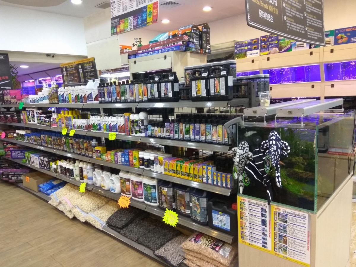 擔任水族藥品管理人員必須先拿到專業訓練的結業證書。 新北市動保處/提供