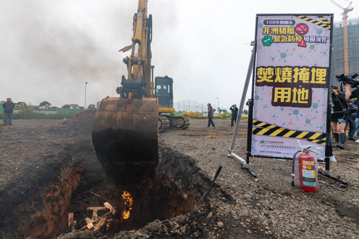 模擬豬隻焚燒掩埋。 桃園市政府/提供