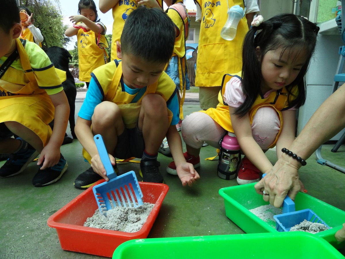 小朋友親自體驗鏟貓砂。 新北市動保處/提供