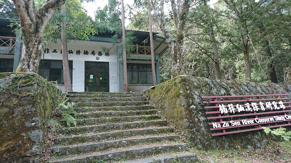 作為自然資源研究調查的楠梓仙溪保育研究站傳出臺灣黑熊闖入覓食。玉山國家公園管理處/提供