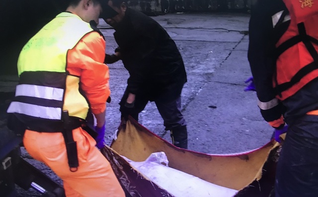 岸巡人員擔心死亡的弗氏海豚會被浪捲入海中於是先打撈上岸。第一岸巡隊/提供