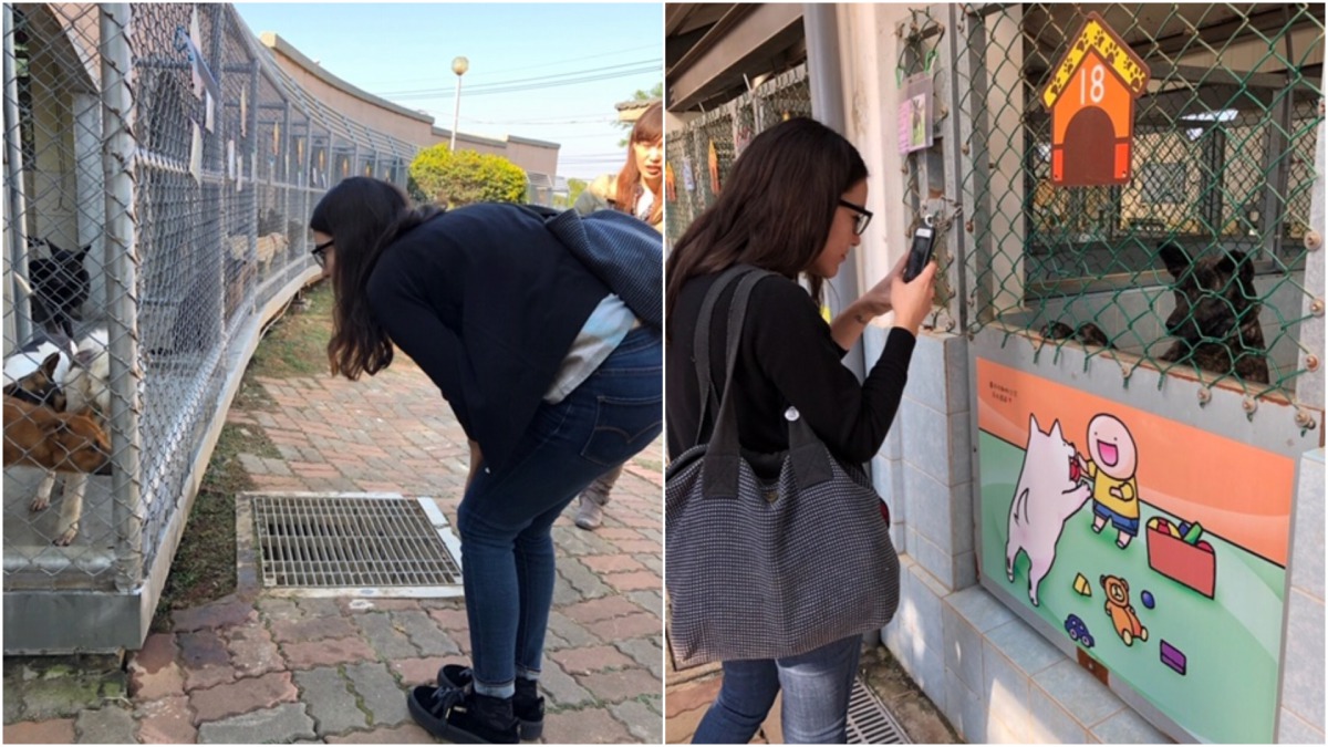 Denisse Bernal與台中動物之家犬隻互動。 台中動保處/提供