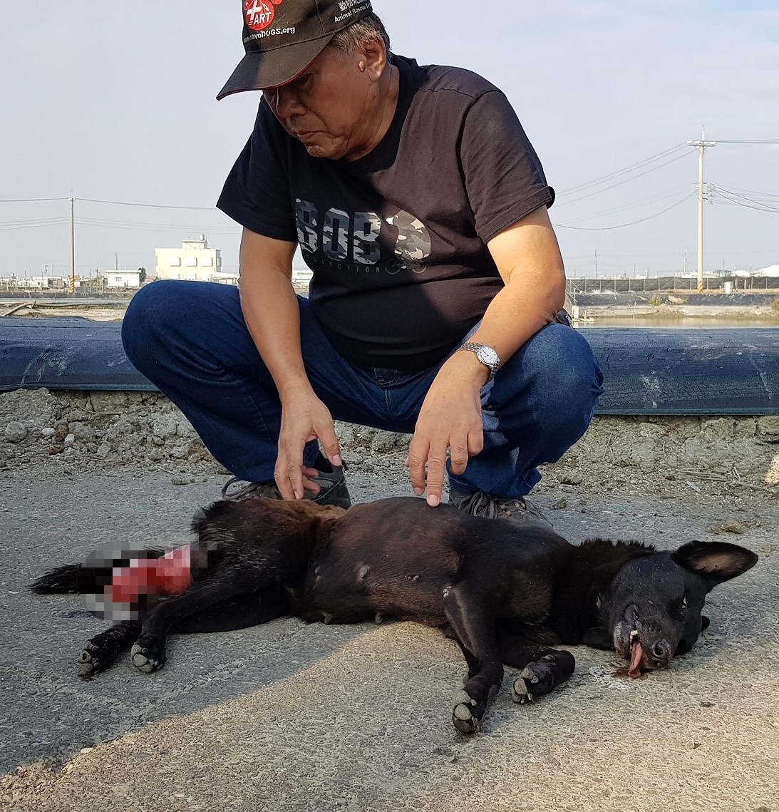 台灣動物緊急救援小組大隊長倪兆成等人一同救援子宮脫垂的母犬。 台灣動物緊急救援小組/提供
