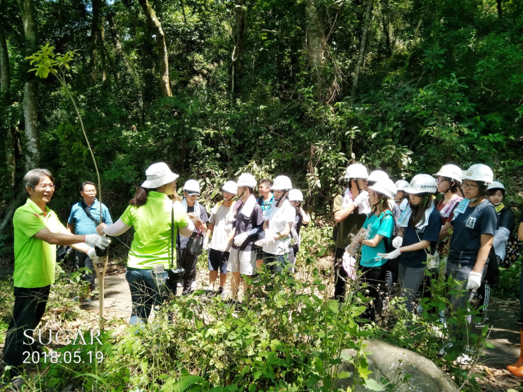學生們學習如何種植台灣梭羅木。 嘉義林管處/提供
