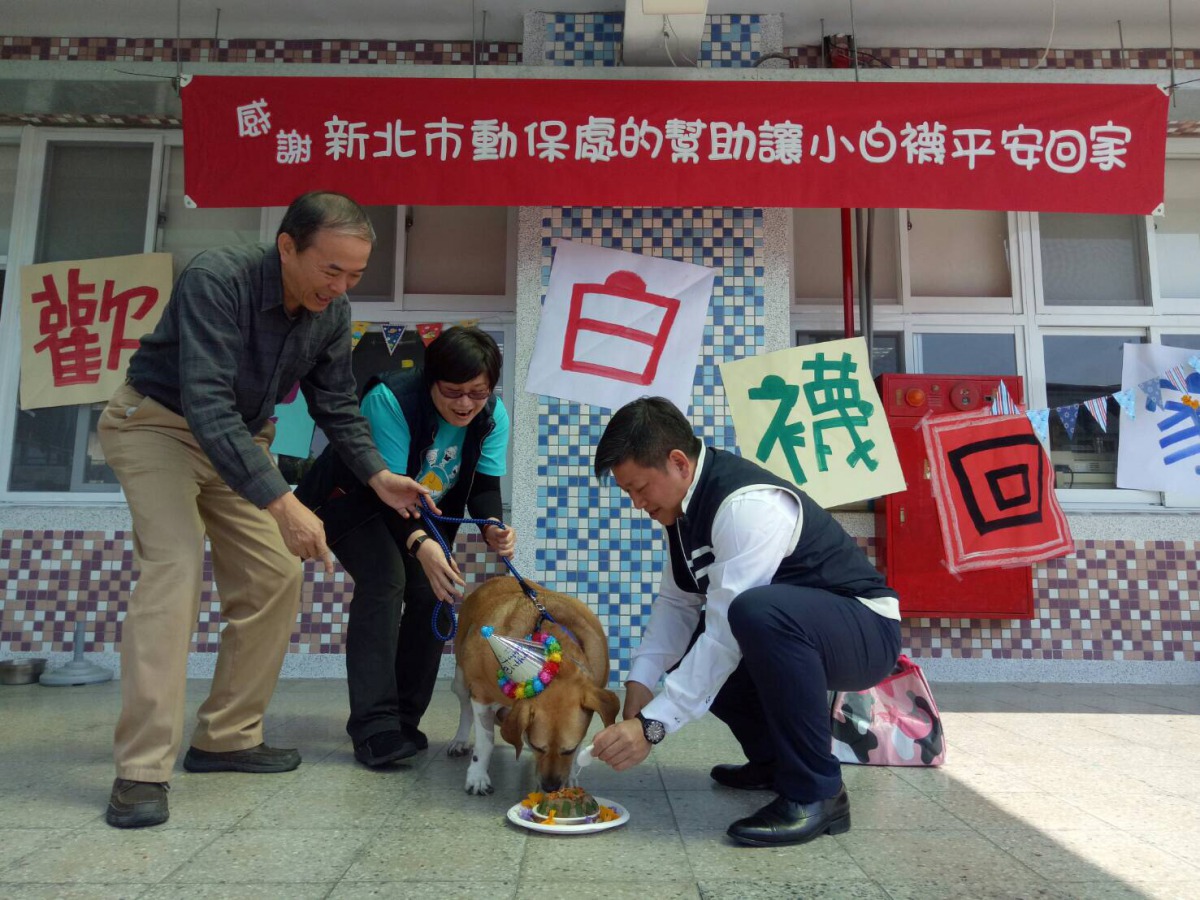 文化國校校長蘇穎群(右)為「小白襪」準備罐頭蛋糕。 新北市動保處/提供