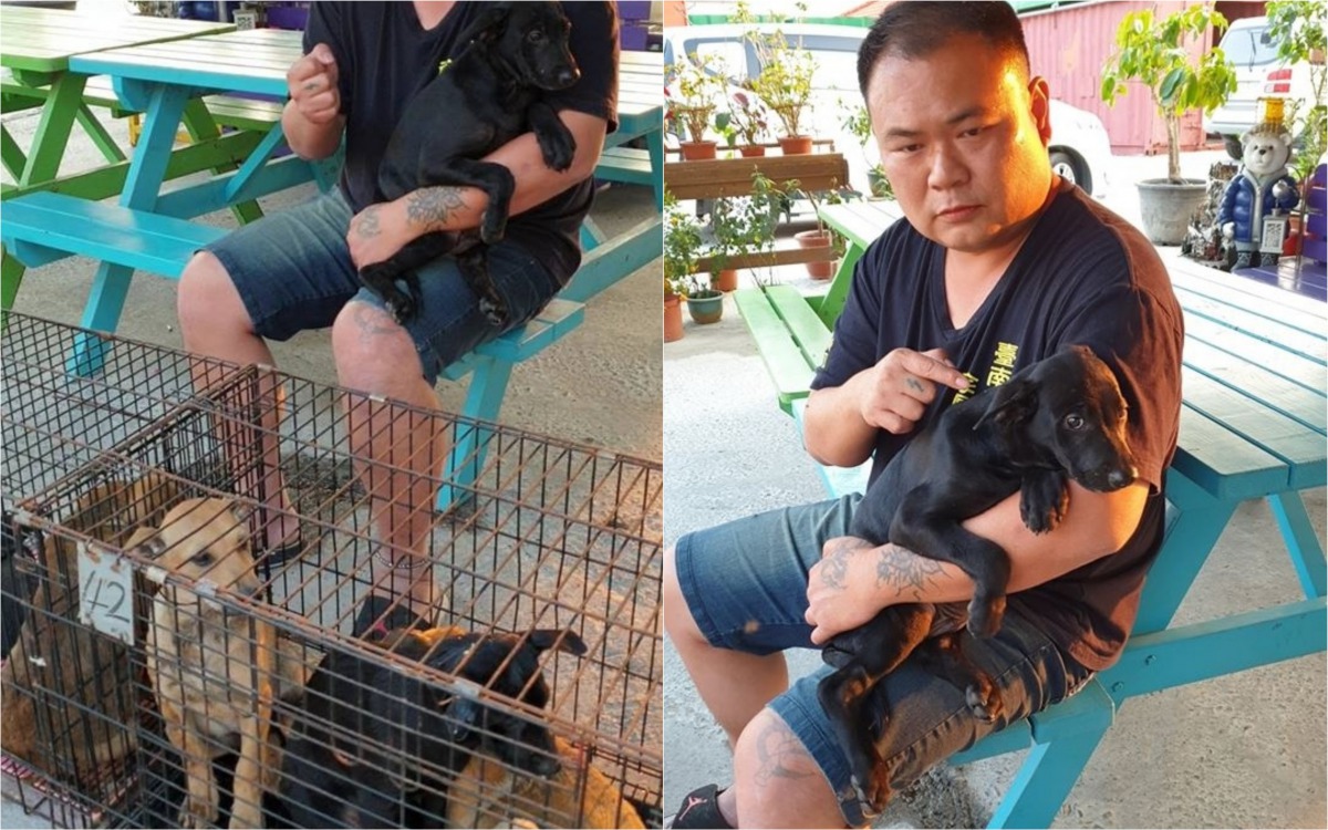 徐文良將受虐幼犬(右)與同一窩共6隻幼犬接回安置。 翻攝/徐園長護生園