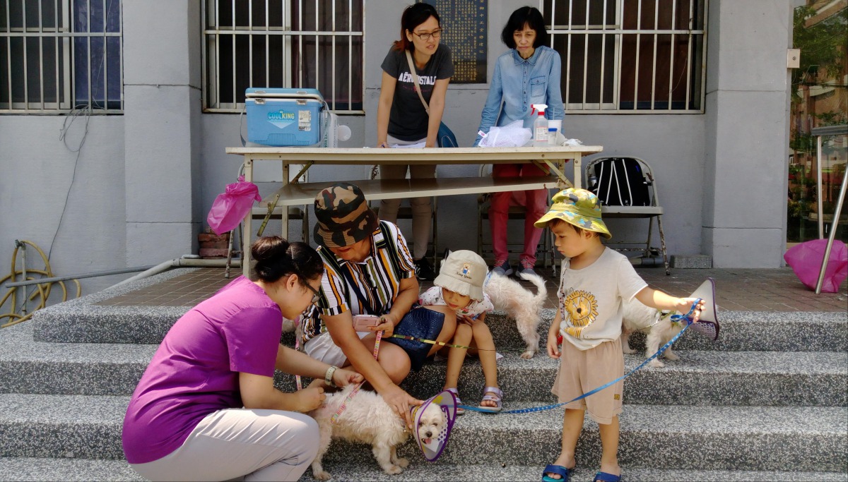 毛小孩未定期施打狂犬病疫苗，飼主將會挨罰3萬~15萬元。 高雄市動保處/提供