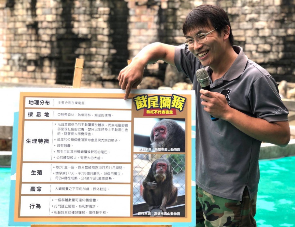 壽山動物園獸醫向遊客介紹截尾獼猴。 高雄市觀光局/提供