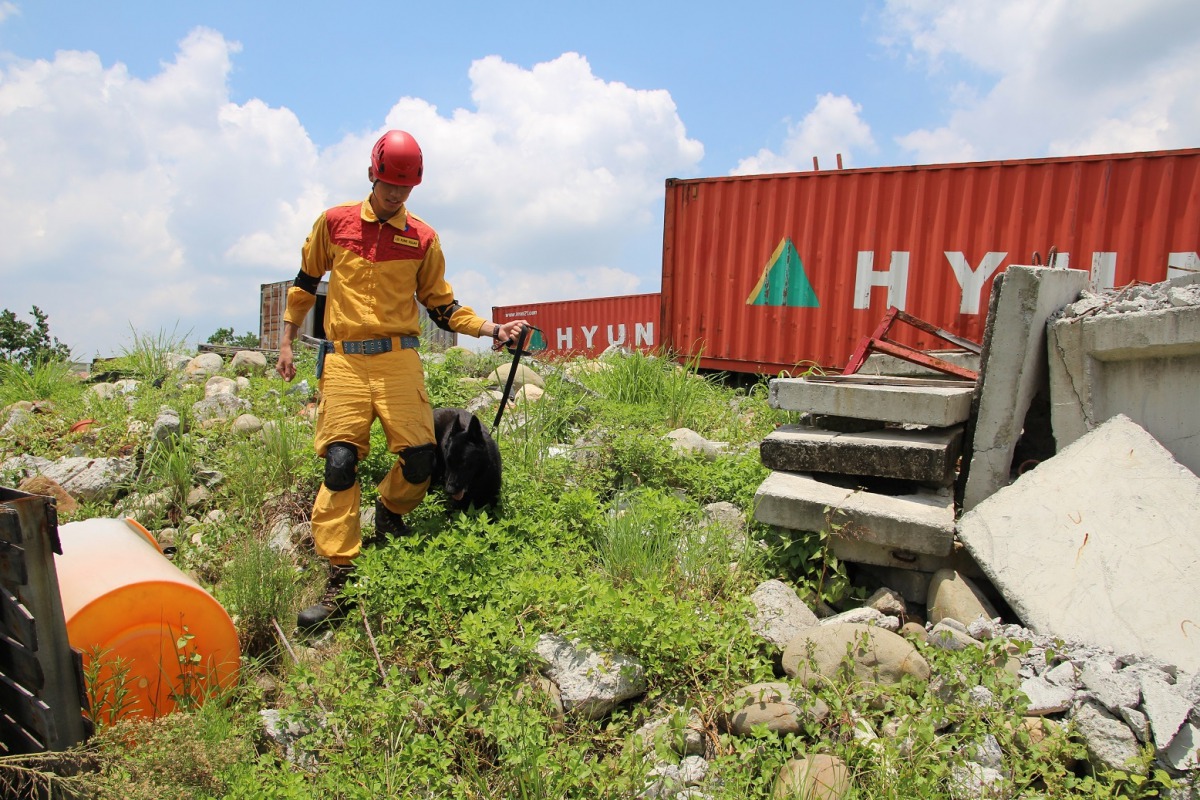 搜救犬瓦礫堆訓練。 新竹市政府/提供