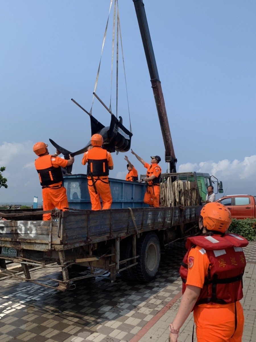 重達300多公斤的領航鯨由吊車運往成大海洋生物暨鯨豚研究中心治療。第十一岸巡隊/提供