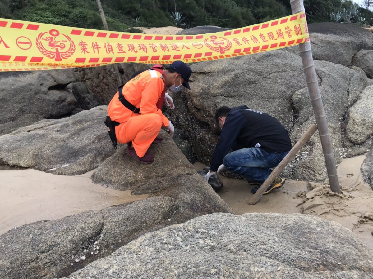 現場人員對死亡的江豚寶寶進行初步比對。第九岸巡隊/提供