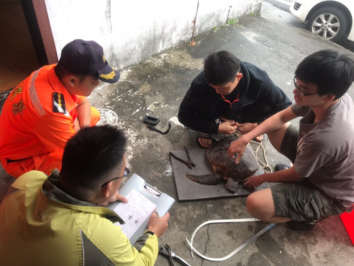 海巡人員充當保姆照顧遭漁民誤捕的「壯壯」。第一岸巡隊/提供