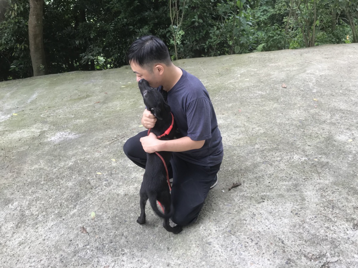 「小黑姐」與動保員互動融洽，也相當親人。 新北市動保處/提供