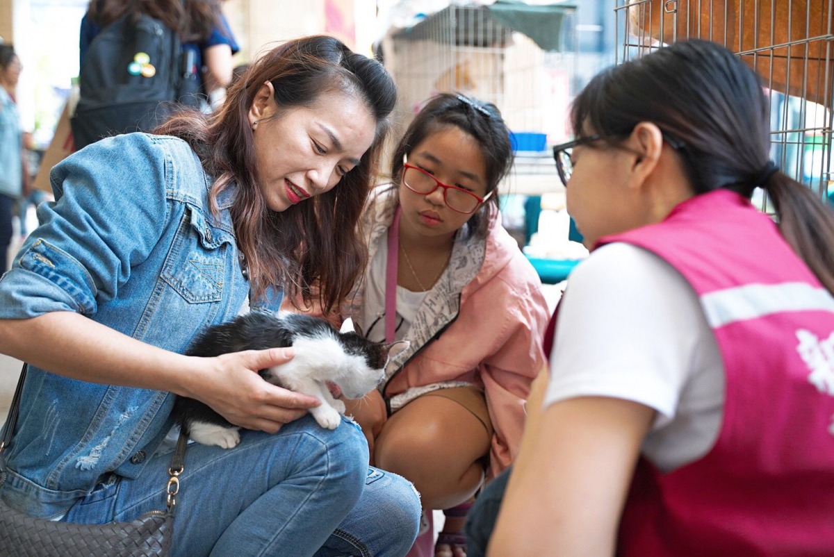 咪可思協會志工向民眾解說飼養常識。 新北市動保處/提供