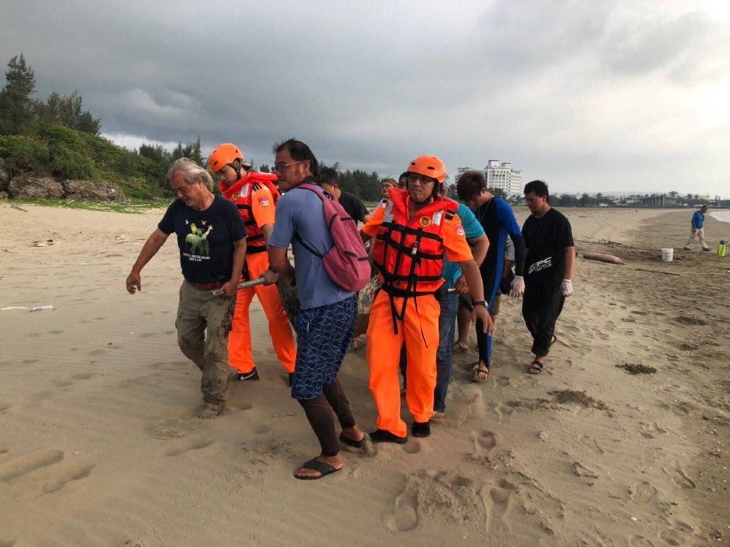 眾人合力將侏儒抹香鯨搬上運輸車，運至四草搶救站。第六岸巡隊/提供