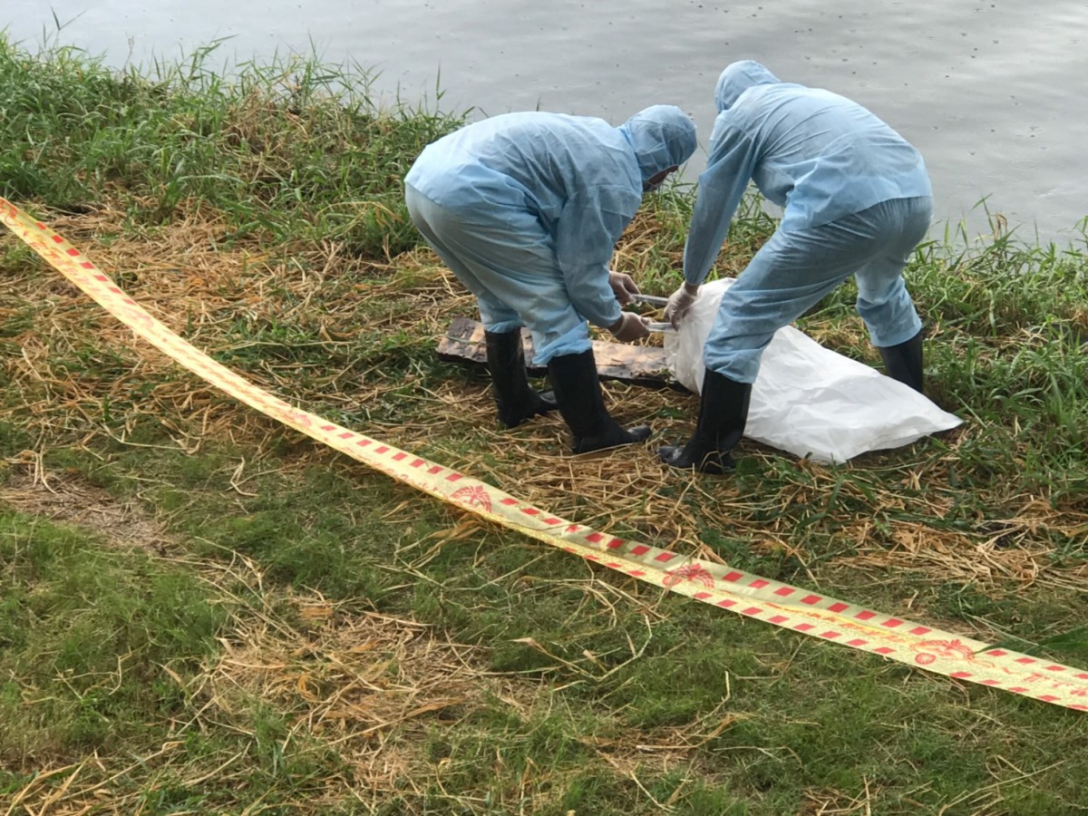 防疫人員將犬隻屍體打包密封後交由清潔隊焚化處理。第五岸巡隊/提供