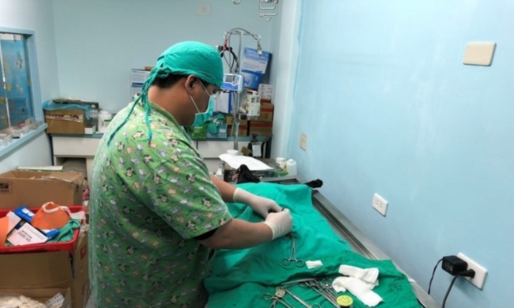 飼主替犬貓絕育的好處相當多。花蓮縣動植物防疫所/提供