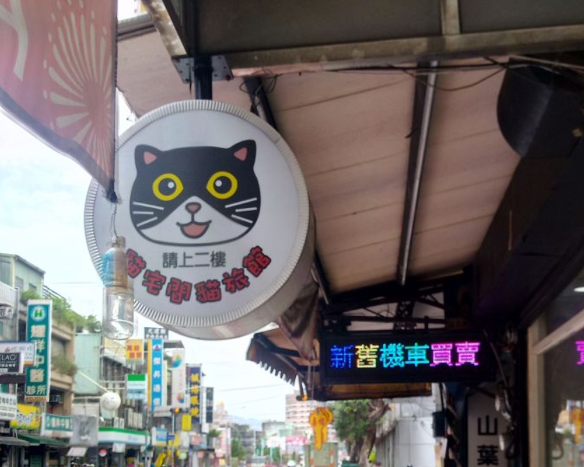 隱匿在窗簾店的貓咪旅館，只有懸掛一個小小的招牌。 新北市動保處/提供