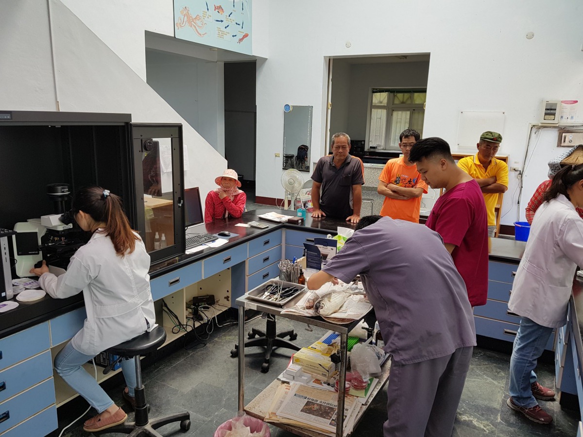 漁民發現魚隻慾減退、魚眼混濁、皮膚潰瘍等異常症狀，務必及早攜帶魚隻及池水進行檢測。嘉義縣家畜疾病防治所/提供