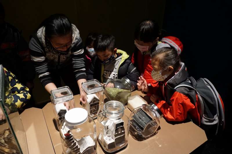 「我家蟲住民」特展以小型實體的家具來呈現住家的感覺。國立自然科學博物館/提供