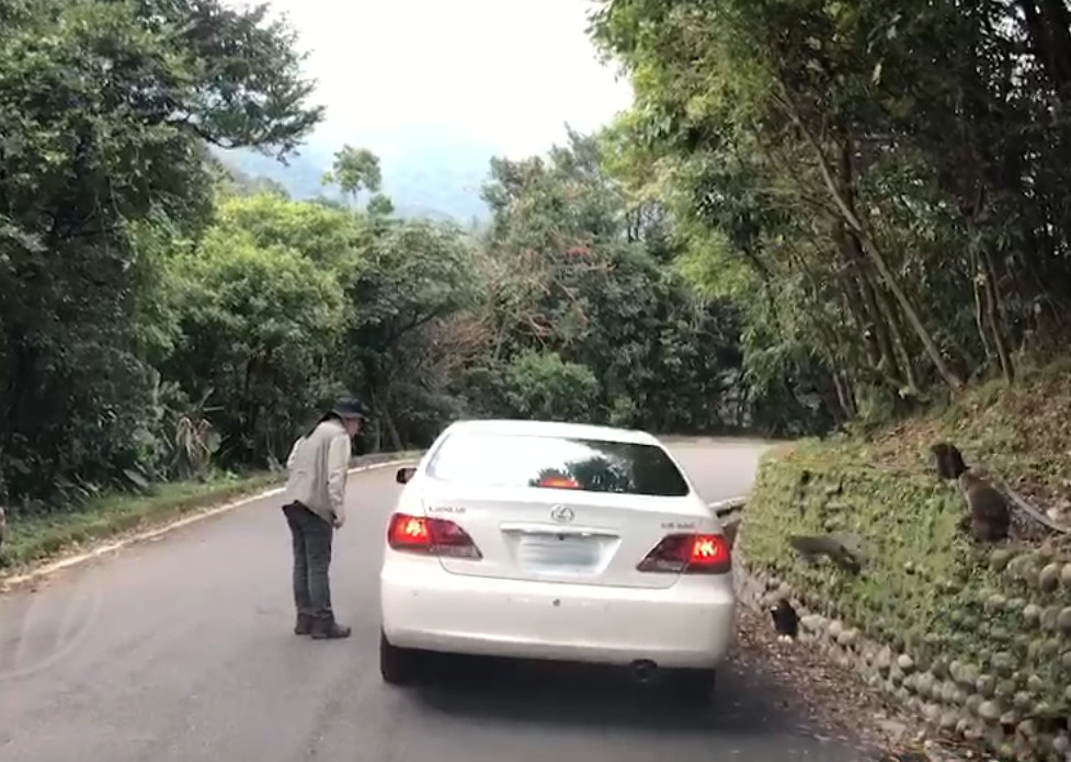 除了與警方加強取締外，保育志工也積極勸導遊客勿餵食路邊台灣獼猴。 陽管處/提供