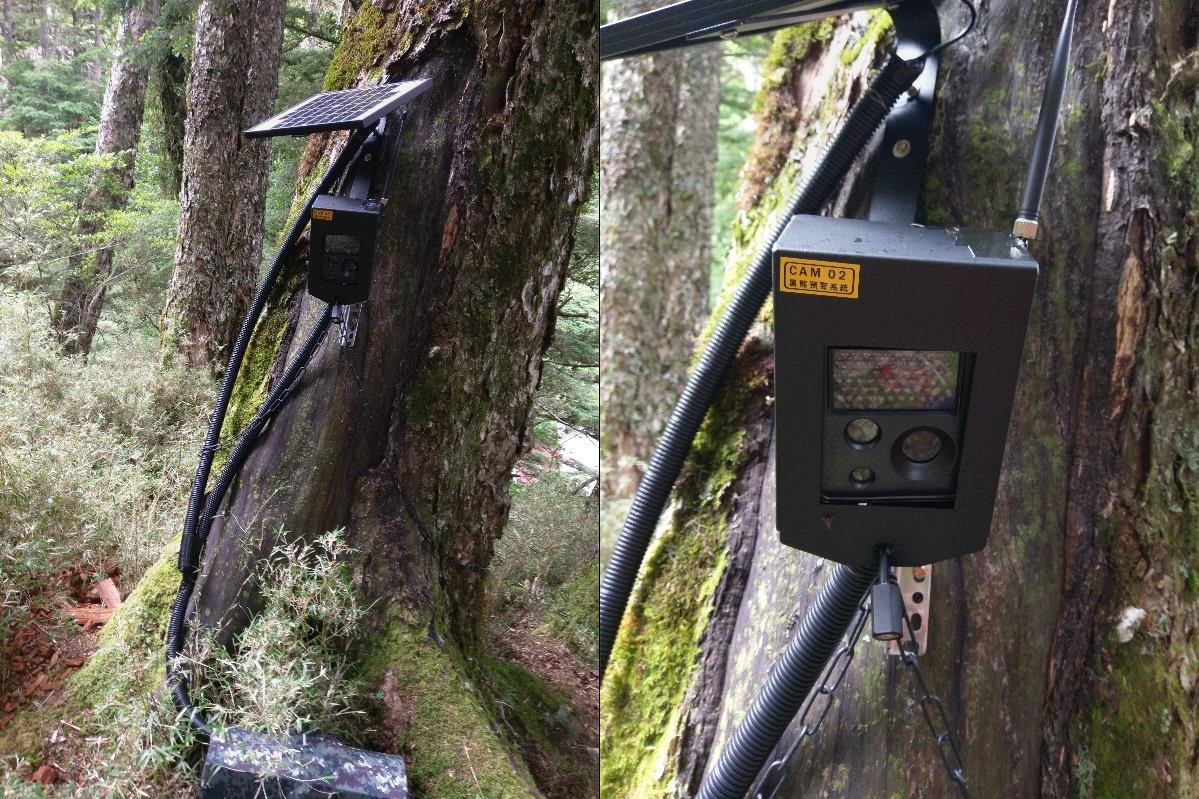 黑熊預警系統可以將感應拍攝到的影像即時傳給山屋管理員。 台東林管處/提供