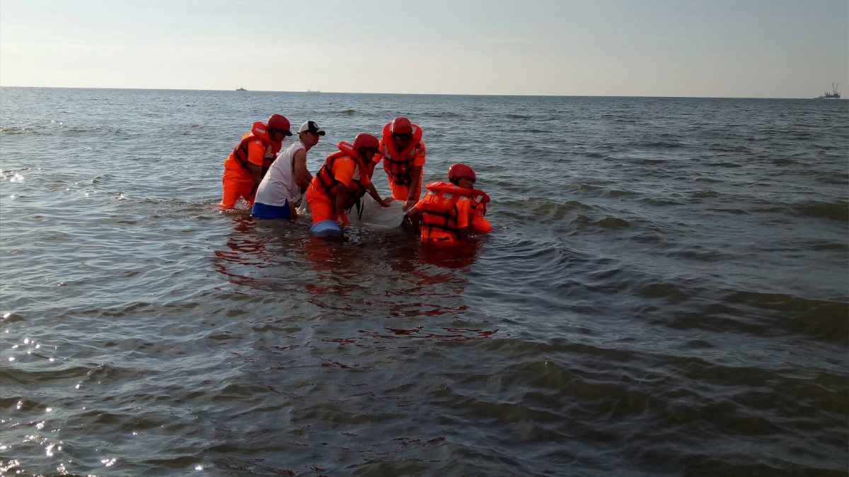 海巡人員於水中搶救2個小時仍回天乏術。第八岸巡隊/提供