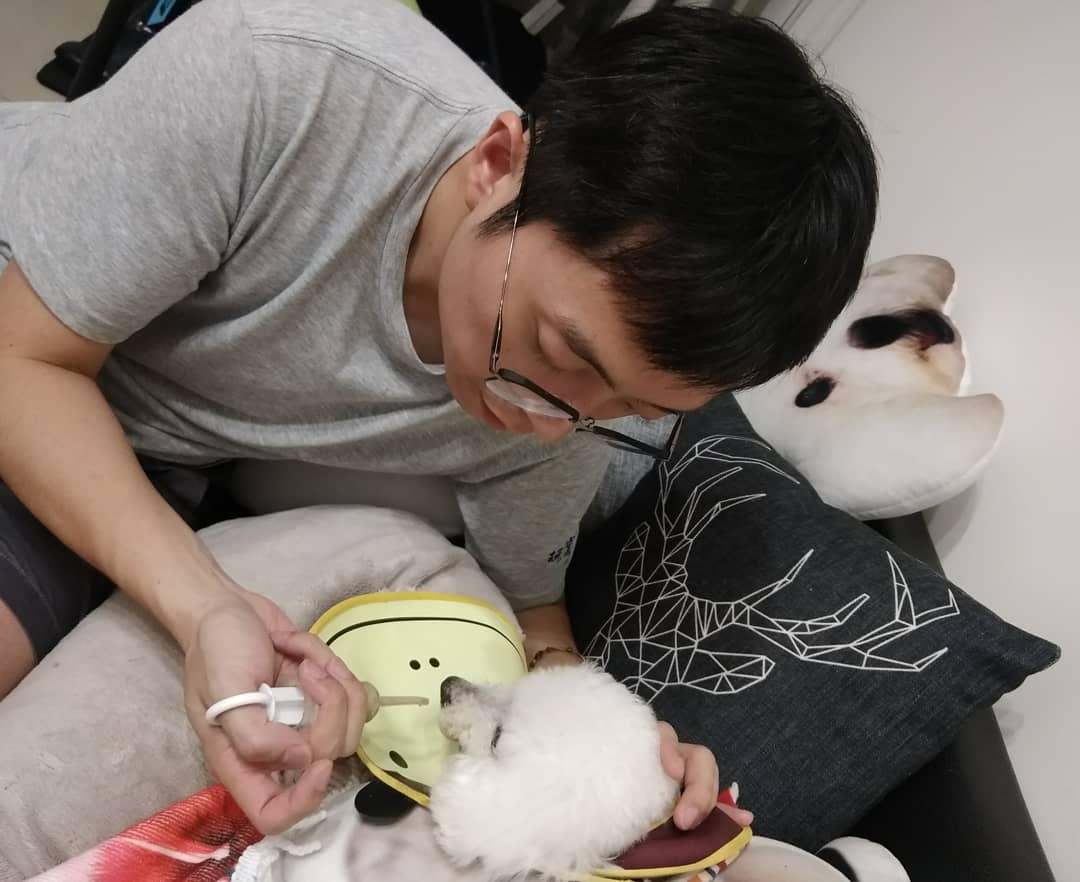 王先生參加寵物情人共餐活動，分享照顧年邁老犬「冠軍」的故事。 新北市動保處/提供