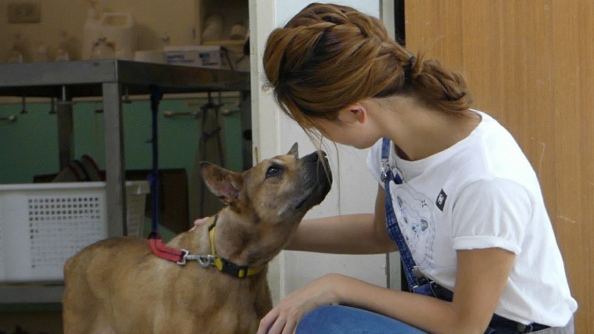 書那娜與動物之家的毛孩互動。 台北市動保處/提供