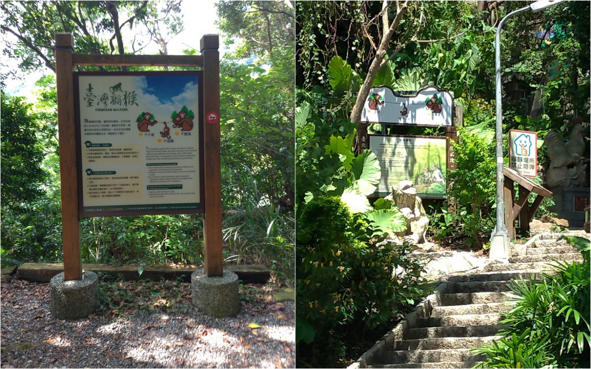 動保處在天母古道與水管路步道設立告示牌，提醒民眾留意獼猴出沒以及「不餵食、不干擾、不接觸」等三大原則。 台北市動保處/提供
