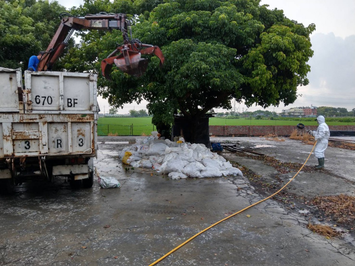 防疫人員於鵪鶉場進行撲殺以及消毒作業。嘉義縣家畜疾病防治所/提供