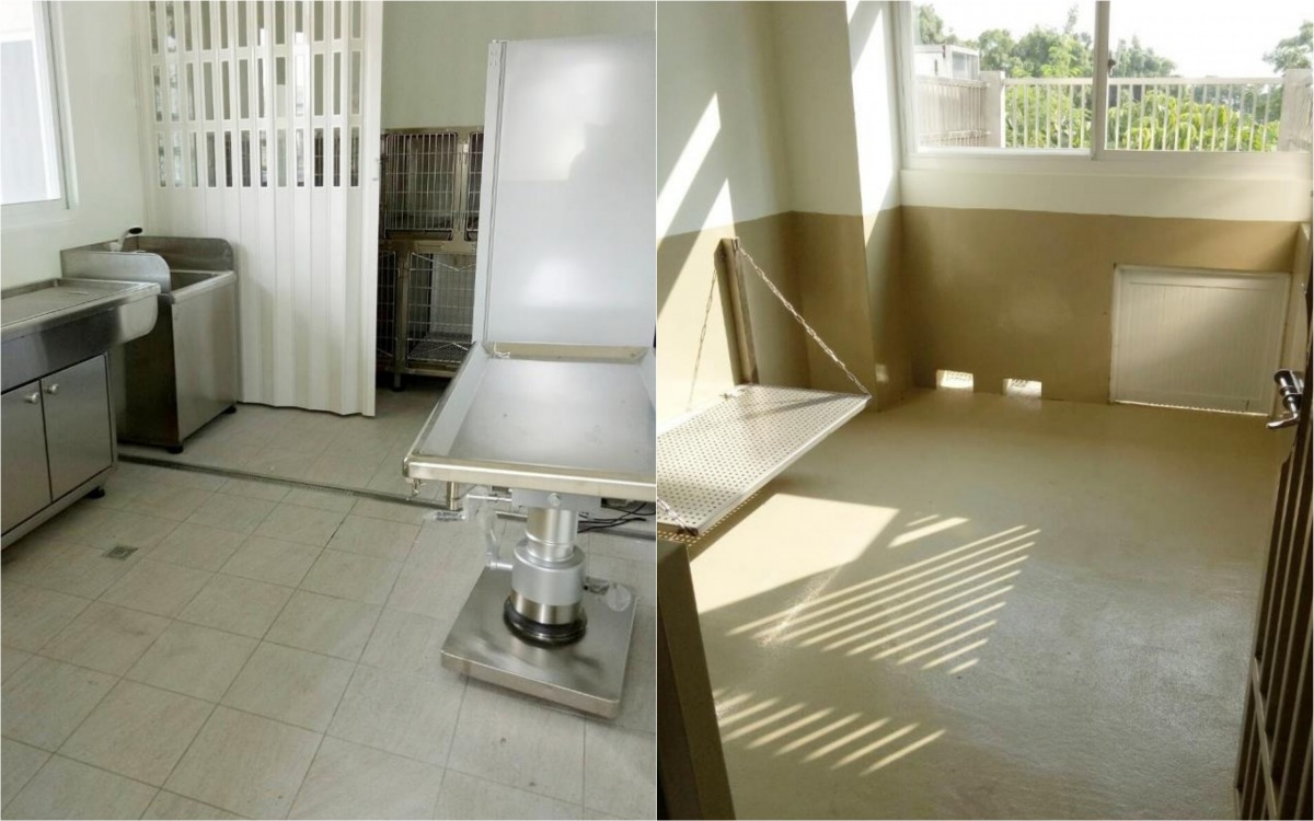 而落成啟用的嘉義市動保教育園區提供動物醫療區(左)和設有犬隻跳台的犬舍(右)。 嘉義市政府/提供