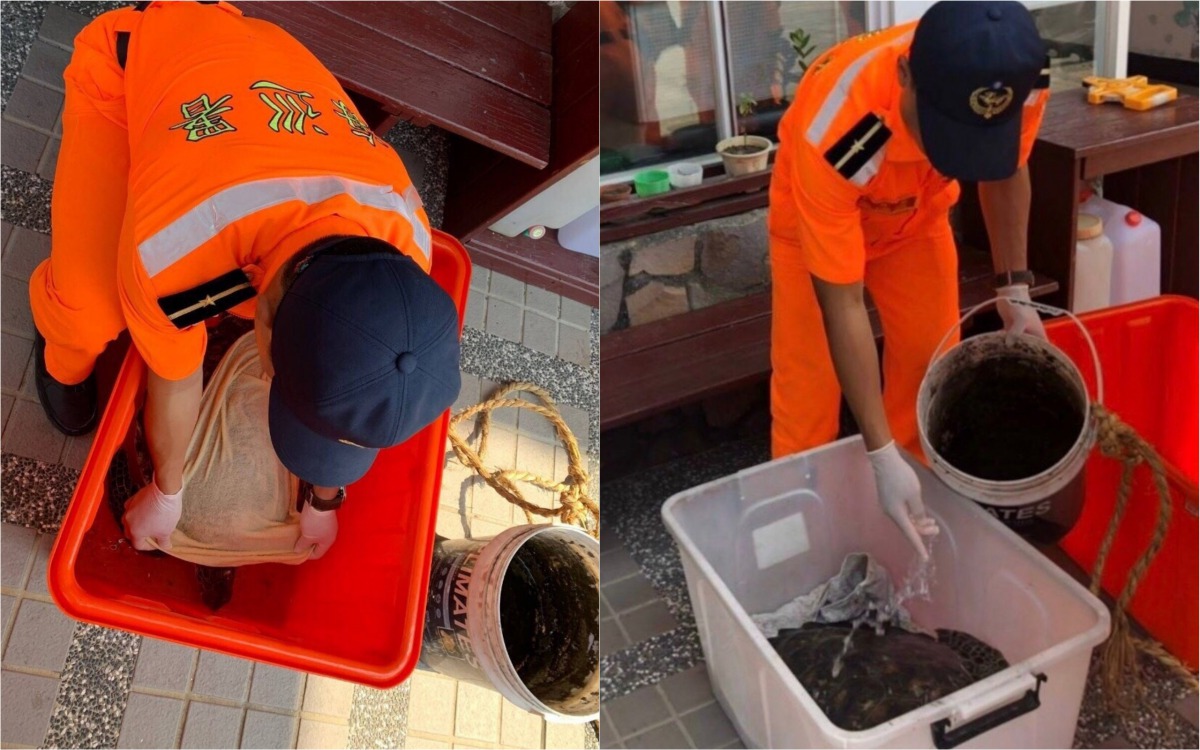 海巡人員安置海龜時，不斷保持海龜體表濕潤。第十一岸巡隊/提供