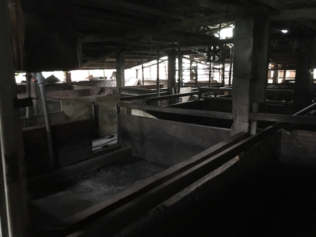 台北市10戶私人養豬戶都已完成離牧。 台北市動保處/提供