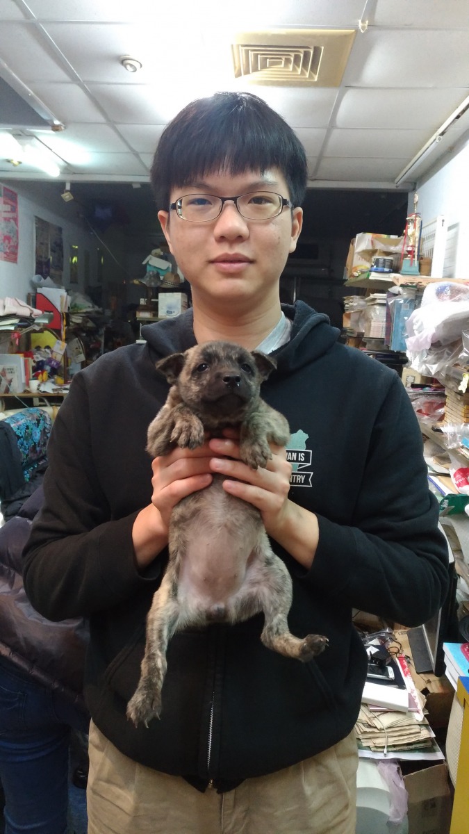 就讀獸醫系的傅承慶探討國內獸醫界的現況。 傅承慶/提供