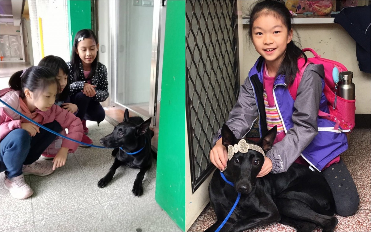 力行國小的學生們開心與校犬「小力」互動。 台北市動保處/提供