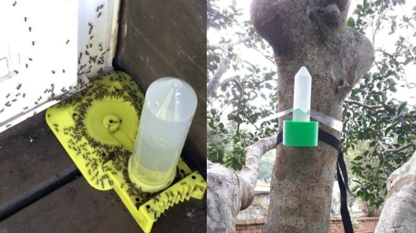 居家型琉璃蟻液態餌站(左)和樹上液態餌站。 農委會/提供