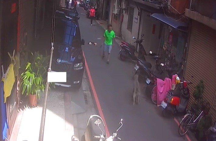 犬隻在闖禍後，身穿螢光色衣服的飼主立即前來將狗帶回。 新北市動保處/提供