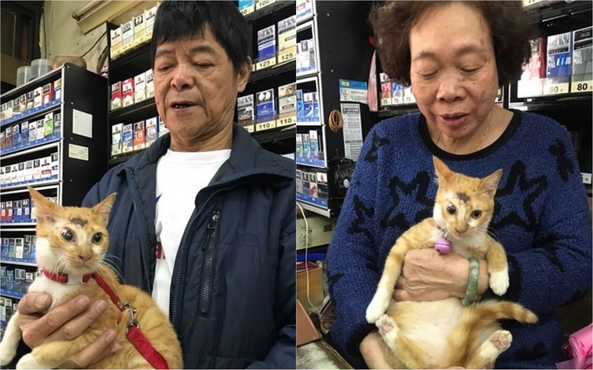 板橋一處雜貨店邱姓老闆與老闆娘都對「元寶」愛不釋手。 新北市動保處/提供