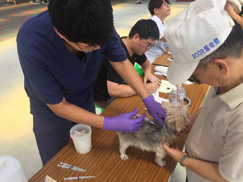 為了防範狂犬病飼主應每年帶毛小孩施打狂犬病疫苗。(示意圖)台灣動物新聞網資料照片 台北市動保處/提供