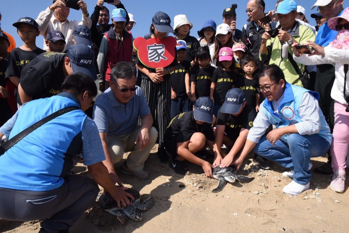 2隻綠蠵龜在澎湖縣(左2)與望安國小孩童的陪伴下重返大海。 澎湖縣政府/提供