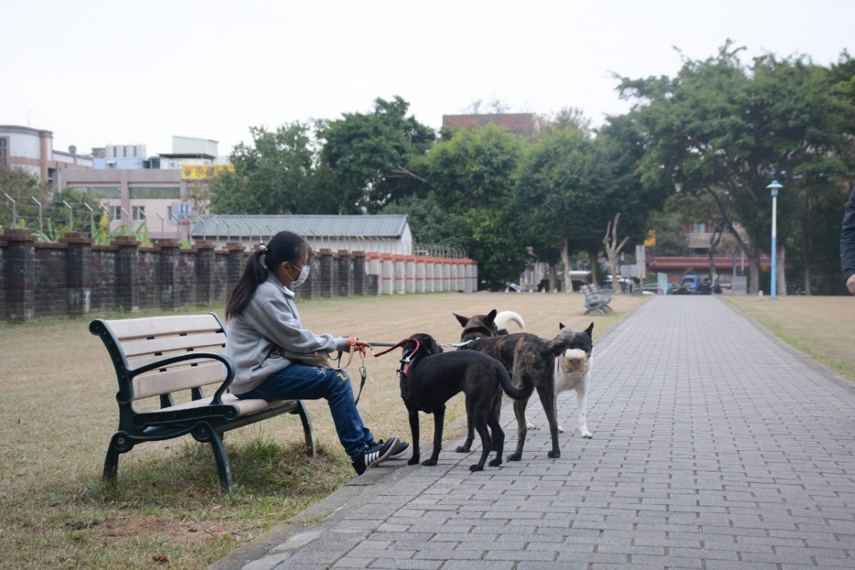寵物友善專區提供飼主與毛小孩增進感情的環境。 桃園市政府/提供