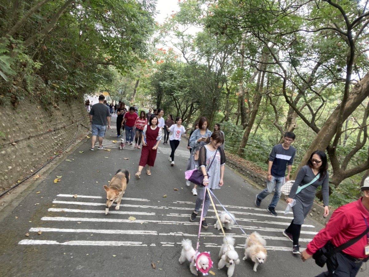 APA為了感謝志工們的付出以及增加各地志工交流的機會,舉辦了一場聯誼活動。 姚崇仁/攝