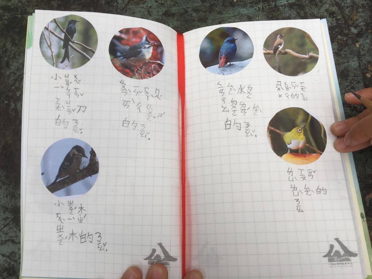 可愛的鳥類貼紙讓小朋友們能體會賞鳥的樂趣。 東勢林管處/提供