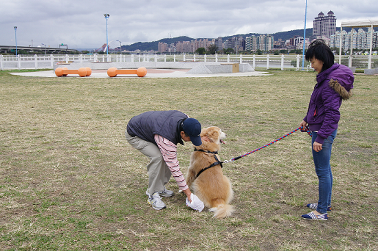 為維護運動公園內的環境品質，飼主應養成隨手清狗便的習慣。 取自/台北市動保處網站