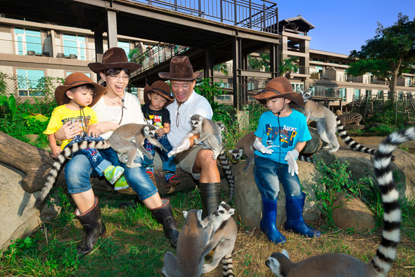 遊客可以與環尾狐猴近距離互動。 六福村/提供