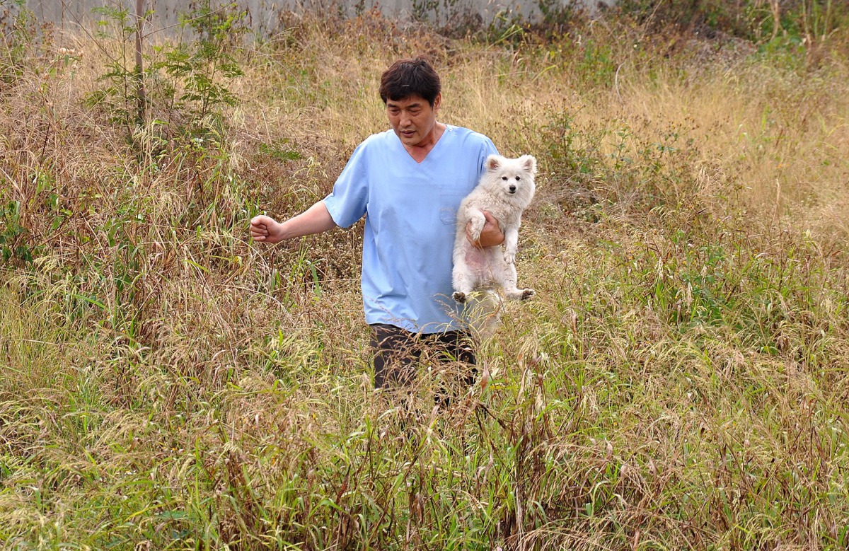 受困河畔的狐狸犬順利被救出。台灣動物緊急救援小組/提供